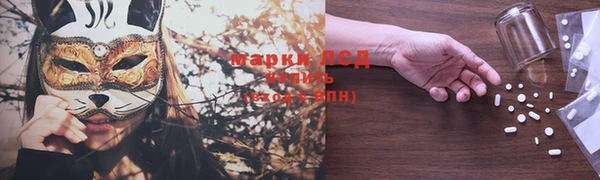 тгк Щёлкино