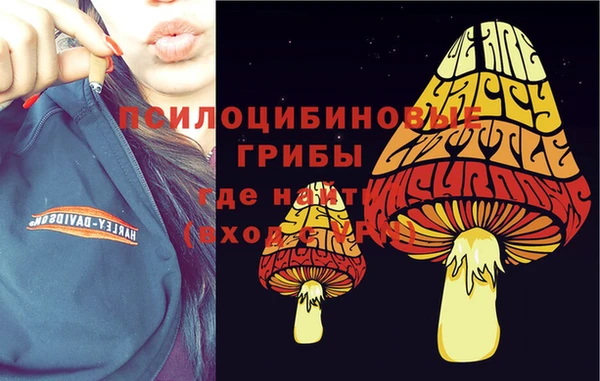 тгк Щёлкино