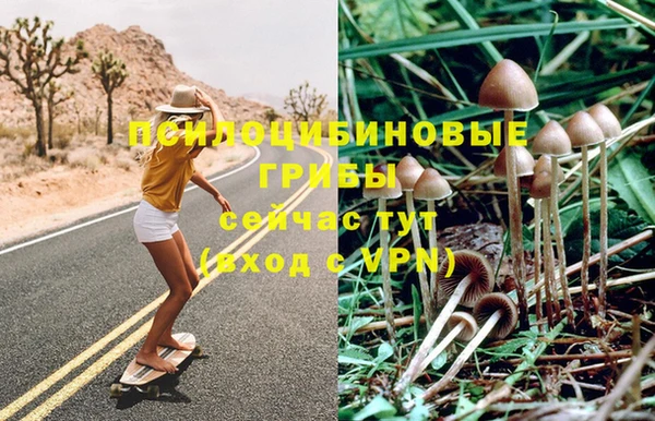 соль курить ск Яранск