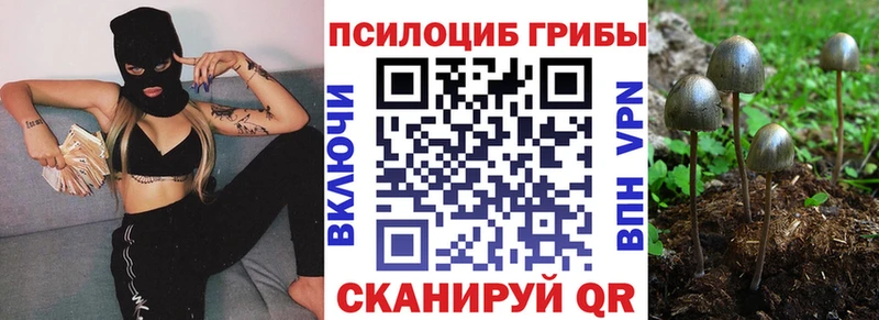 Купить закладки  Черноголовка  Галлюциногенные грибы Psilocybe 